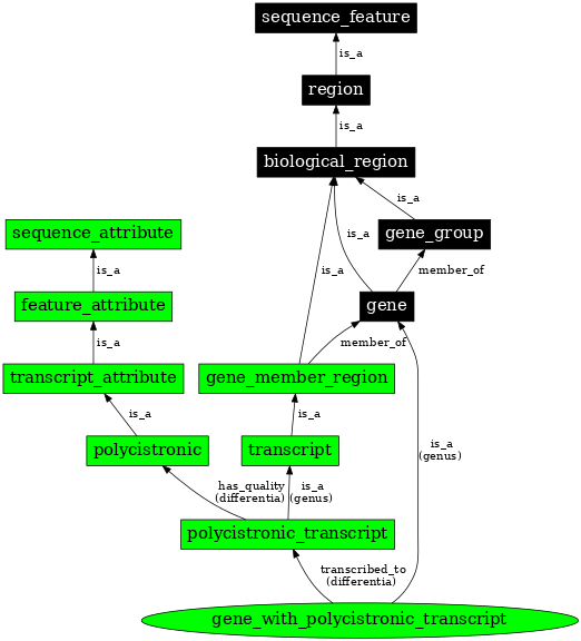 Graph image for SO:0000690