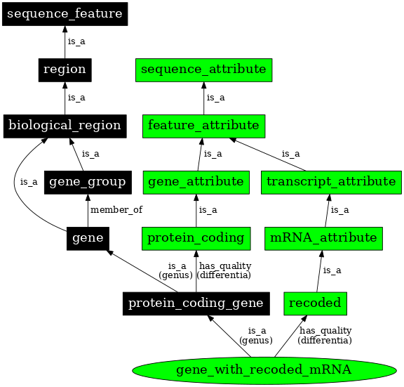 Graph image for SO:0000693