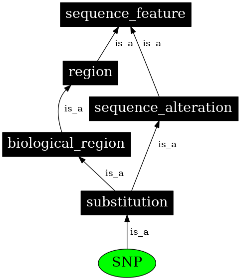 Graph image for SO:0000694