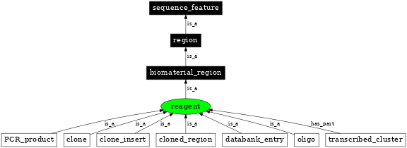 Graph image for SO:0000695