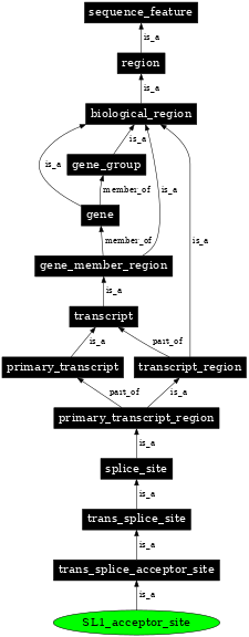 Graph image for SO:0000708