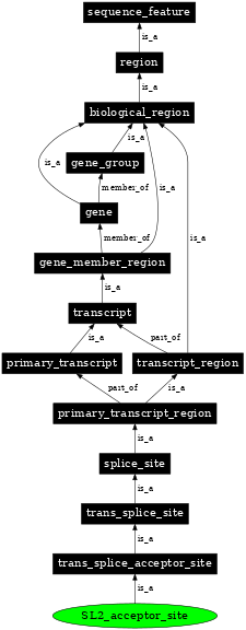 Graph image for SO:0000709