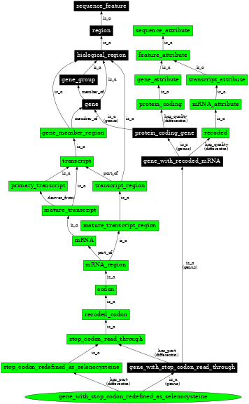 Graph image for SO:0000710