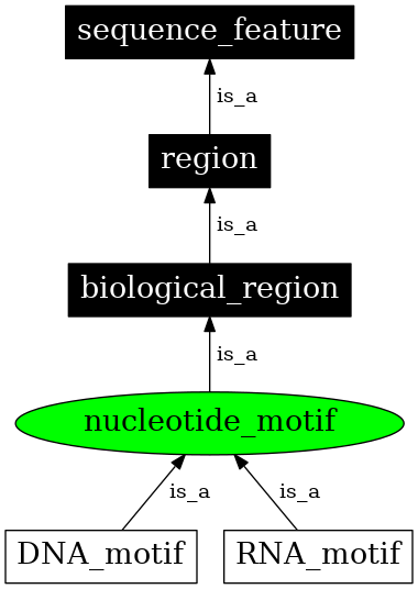 Graph image for SO:0000714