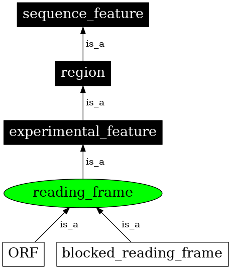 Graph image for SO:0000717