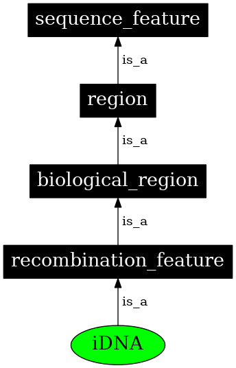 Graph image for SO:0000723