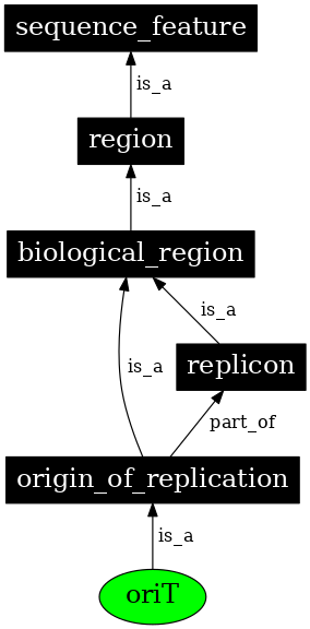 Graph image for SO:0000724