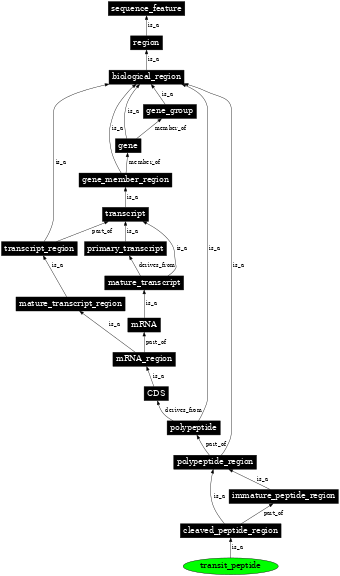 Graph image for SO:0000725