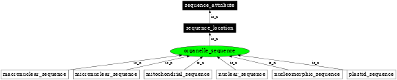 Graph image for SO:0000736