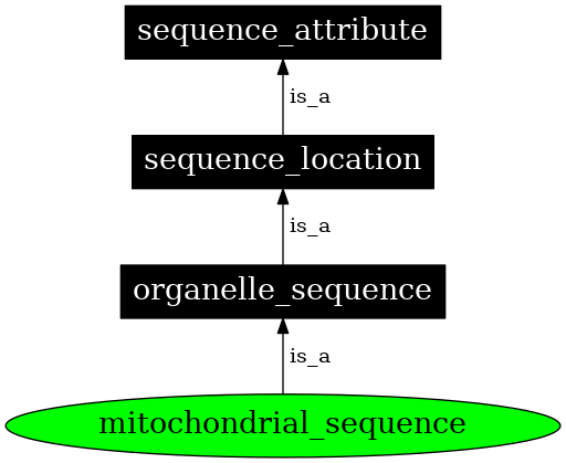 Graph image for SO:0000737