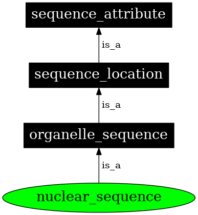 Graph image for SO:0000738