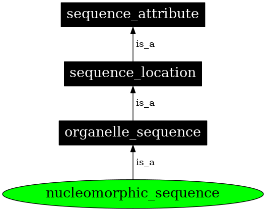 Graph image for SO:0000739