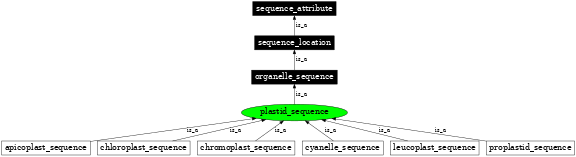 Graph image for SO:0000740