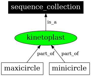 Graph image for SO:0000741