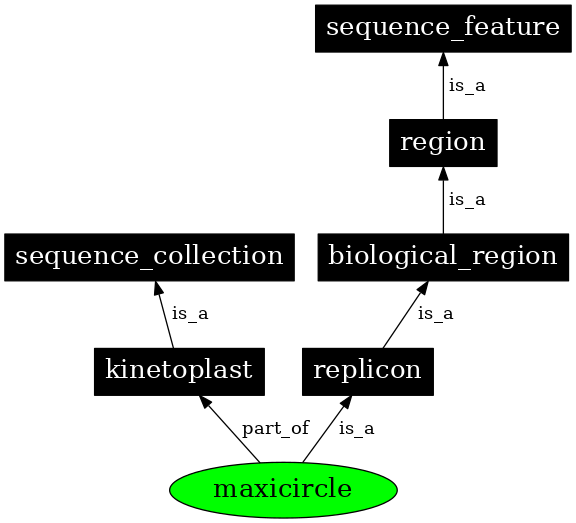 Graph image for SO:0000742