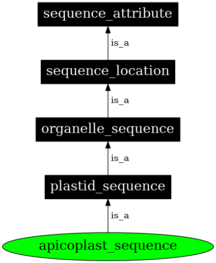 Graph image for SO:0000743