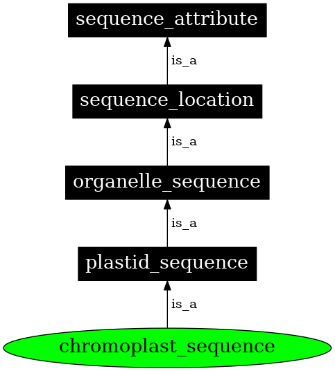 Graph image for SO:0000744