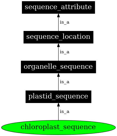 Graph image for SO:0000745