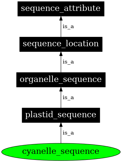 Graph image for SO:0000746