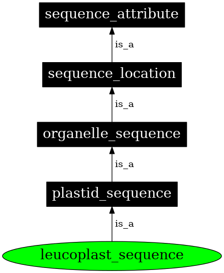 Graph image for SO:0000747