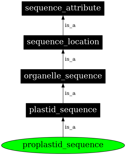 Graph image for SO:0000748