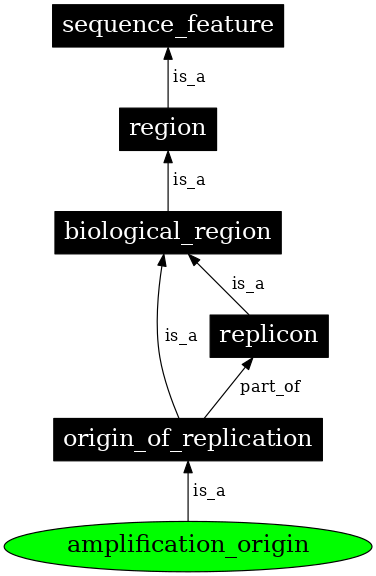 Graph image for SO:0000750