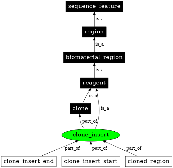 Graph image for SO:0000753