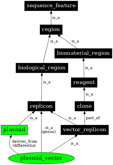 Graph image for SO:0000755