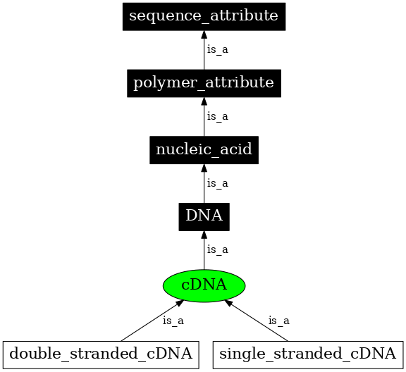 Graph image for SO:0000756