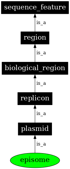 Graph image for SO:0000768