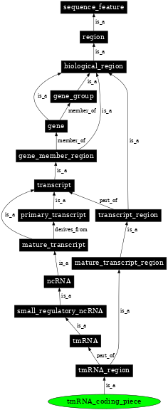 Graph image for SO:0000769