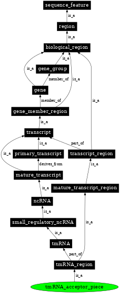 Graph image for SO:0000770