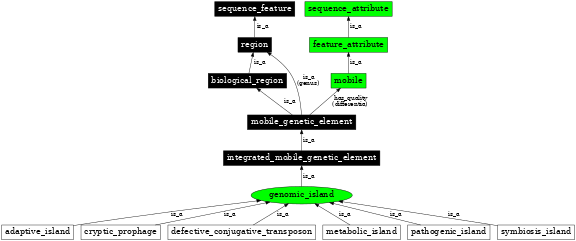 Graph image for SO:0000772