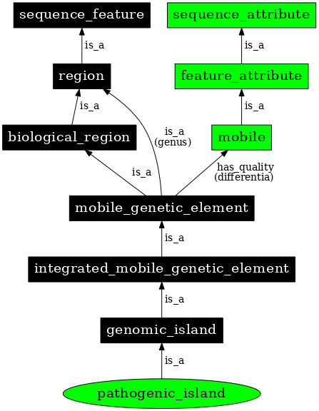 Graph image for SO:0000773