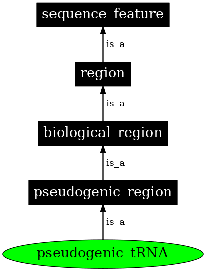 Graph image for SO:0000778