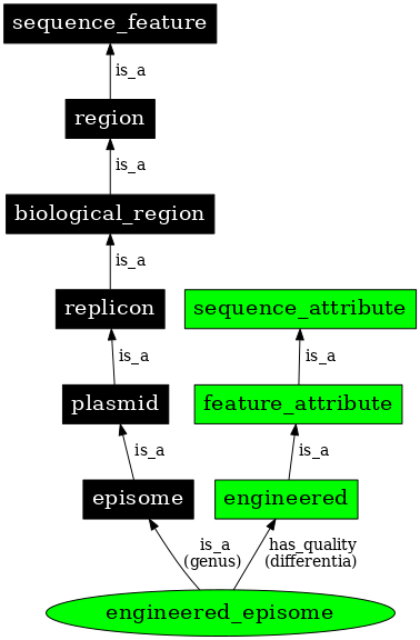 Graph image for SO:0000779