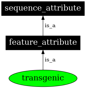 Graph image for SO:0000781