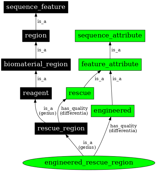 Graph image for SO:0000794