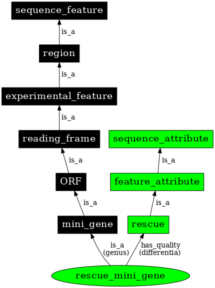 Graph image for SO:0000795