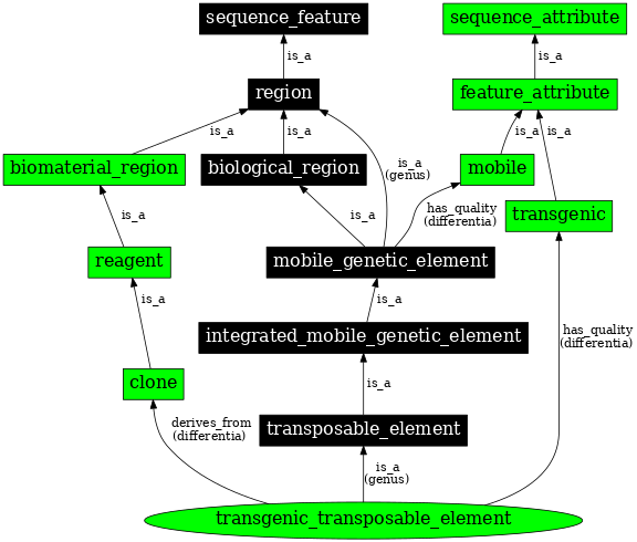 Graph image for SO:0000796