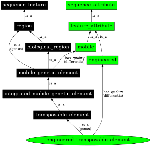 Graph image for SO:0000798