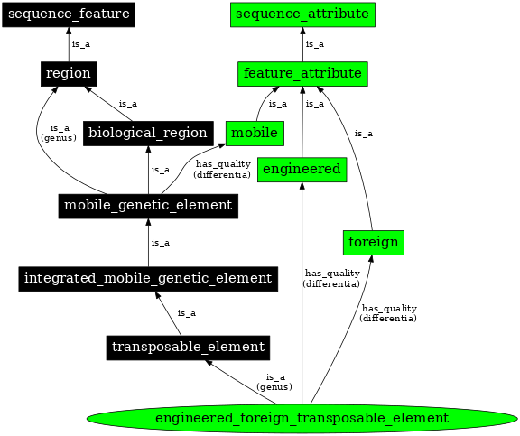 Graph image for SO:0000799