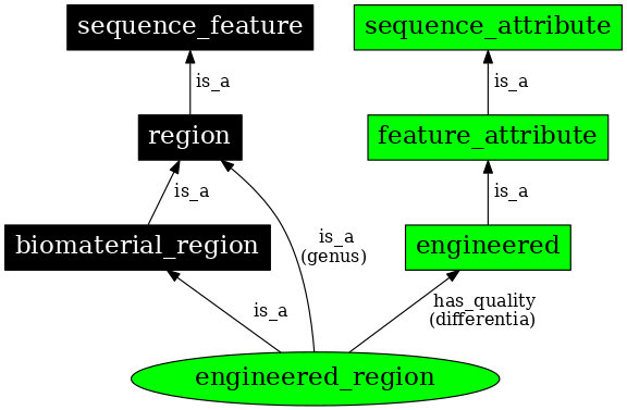 Graph image for SO:0000804