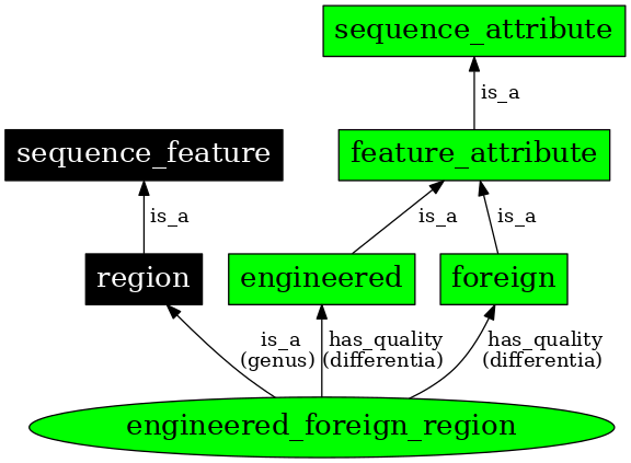 Graph image for SO:0000805