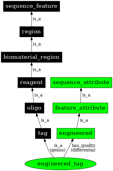 Graph image for SO:0000807