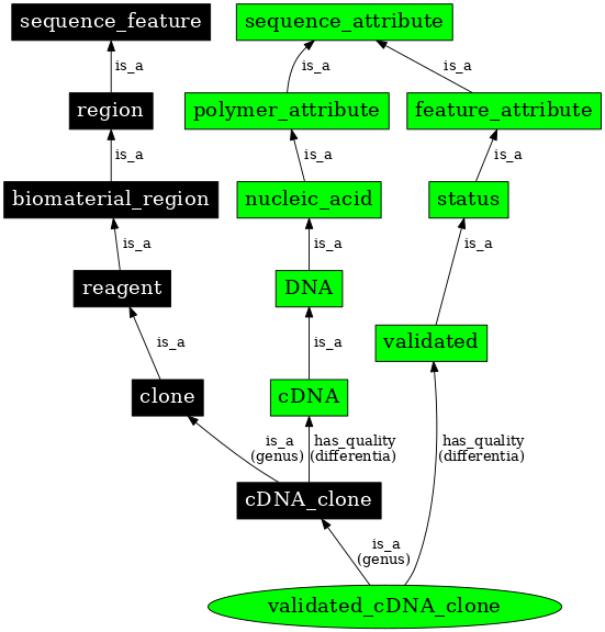 Graph image for SO:0000808