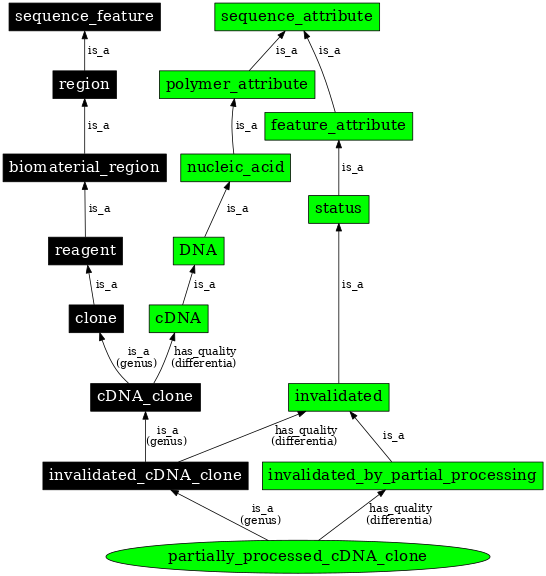 Graph image for SO:0000813