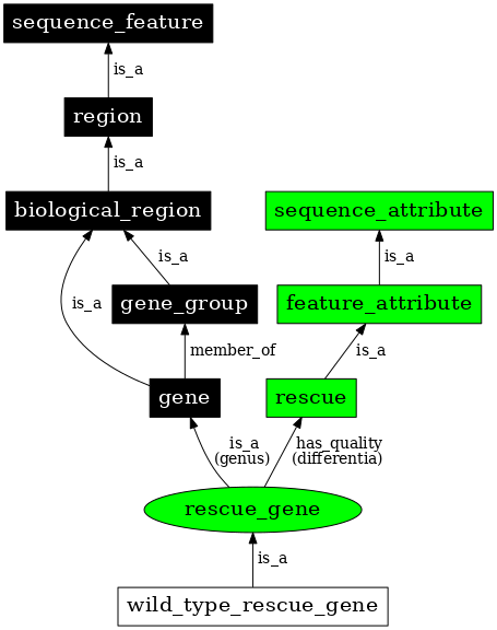 Graph image for SO:0000816