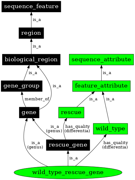 Graph image for SO:0000818