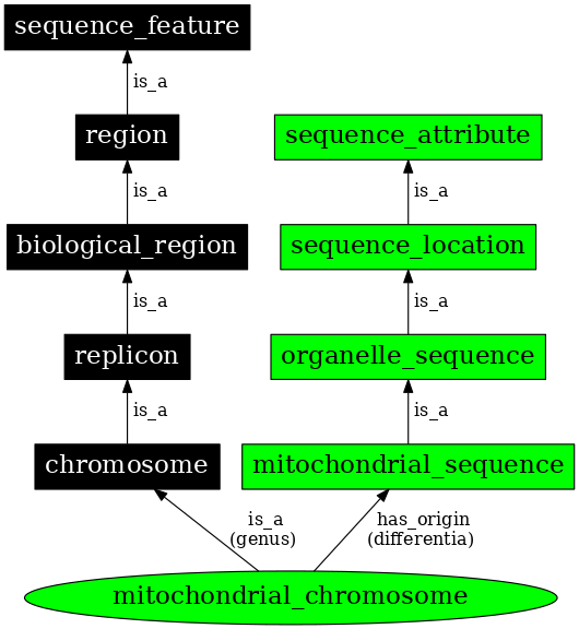 Graph image for SO:0000819